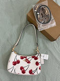 Coach Teri Shoulder Bag (with Box and  long strap)