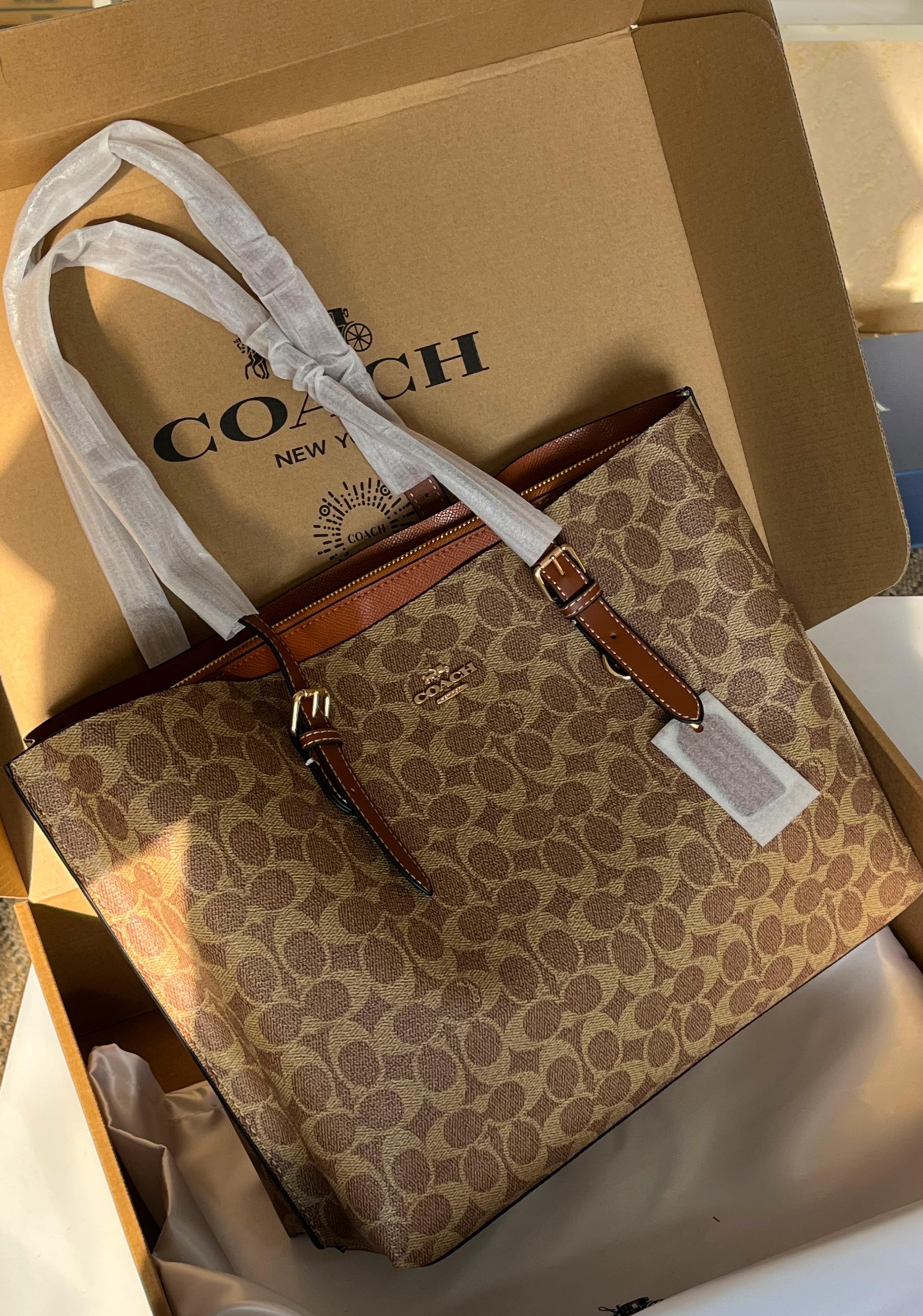 COACH Mollie Tote Bag Beige