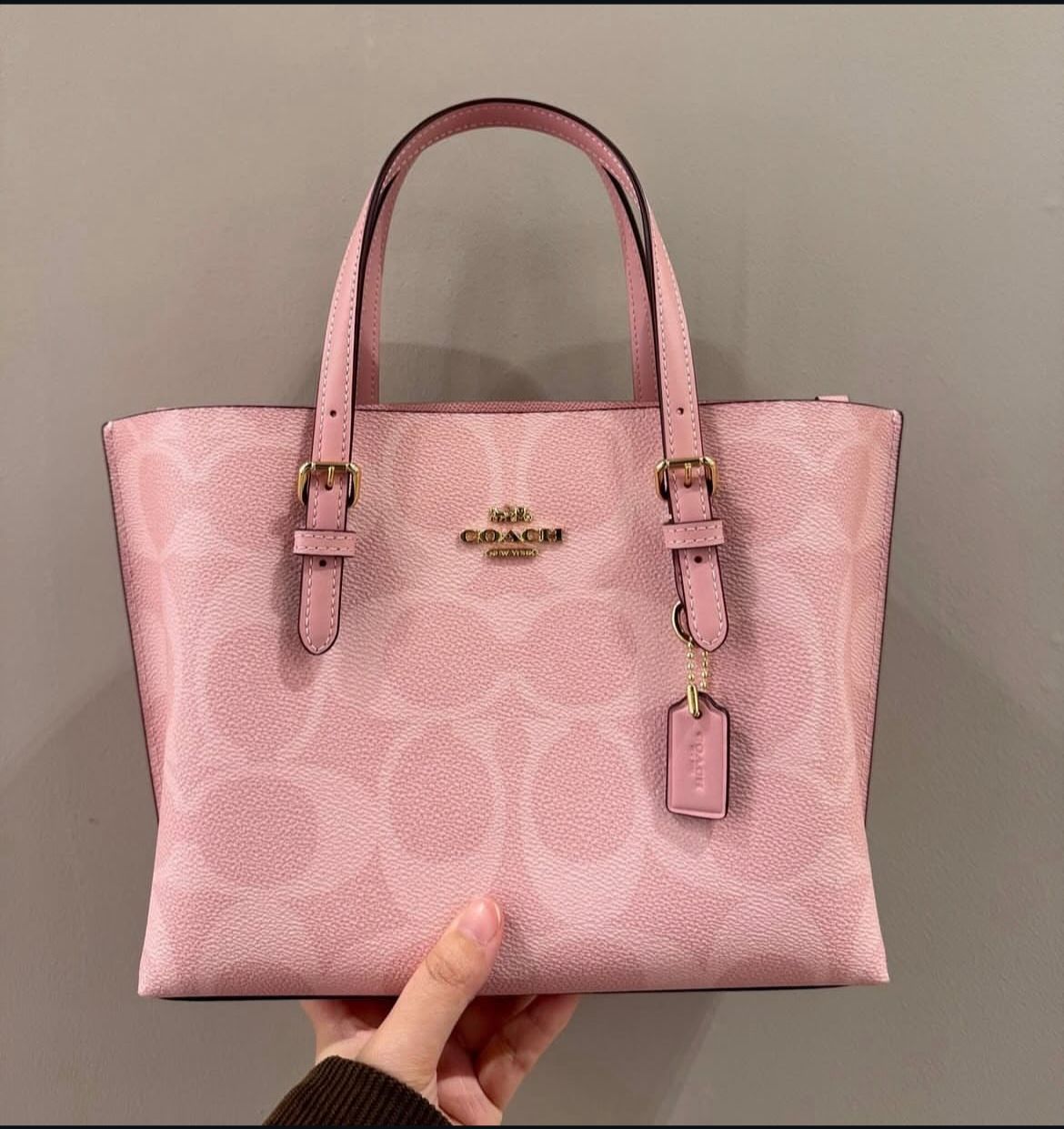 Coach Mollie Tote Bag Pink