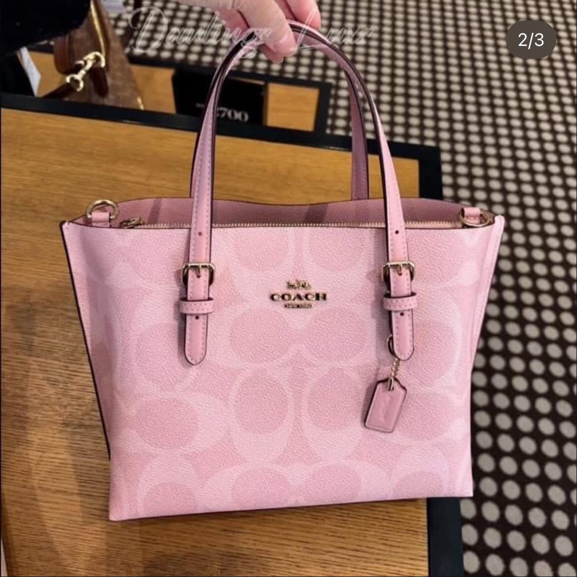 Coach Mollie Tote Bag Pink